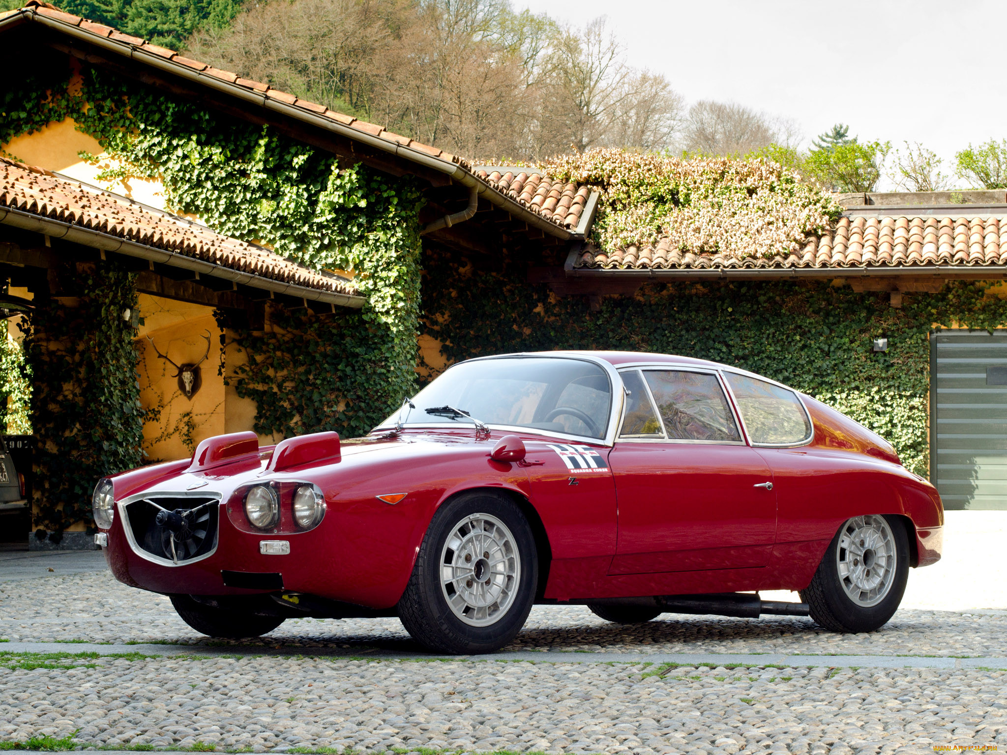 1964, lancia, flavia, sport, corsa, 815, 